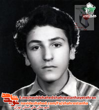 شهید مهدی عسگری