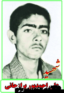 زندگینامه شهید علی احمدپور برازجانی