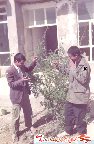 آگاهانه آرزوی شهادت کرد آگاهانه آرزوی شهادت کرد