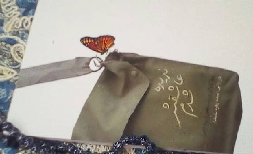 «ندیده عاشقش شدم» روایتی کوتاه از یک زندگی عاشقانه «ندیده عاشقش شدم» روایتی کوتاه از یک زندگی عاشقانه