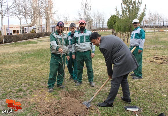 گزارش تصویری از غرس نهال به یاد شهدای دانشجو و دانش‌آموز قزوینی