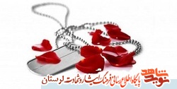 کنگره شهدای لرستان با استفاده از ظرفیت همه دستگاههای اجرایی برگزار شود