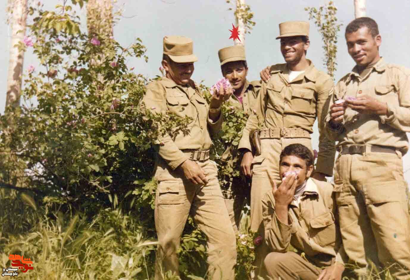 آلبوم تصاویر شهید«ابراهیم نوری» منتشر شد