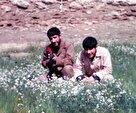 تصاویر کمتر دیده شده «شمس‌الله کردبچه»