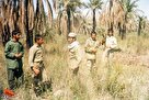 تصاویر رزمندگان استان مرکزی/ سری 427