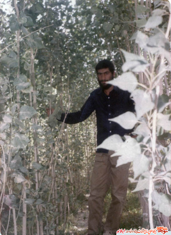 شهید مجید کشکولی