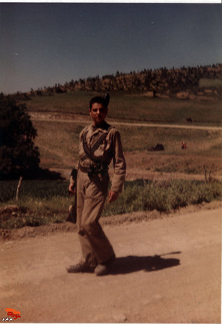 سعید مشایخی
